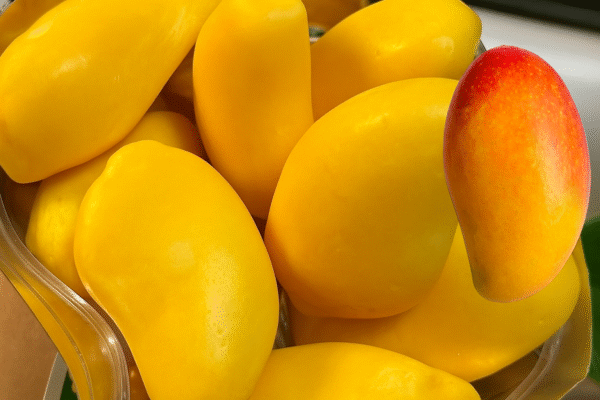 freeze dried mango UAE